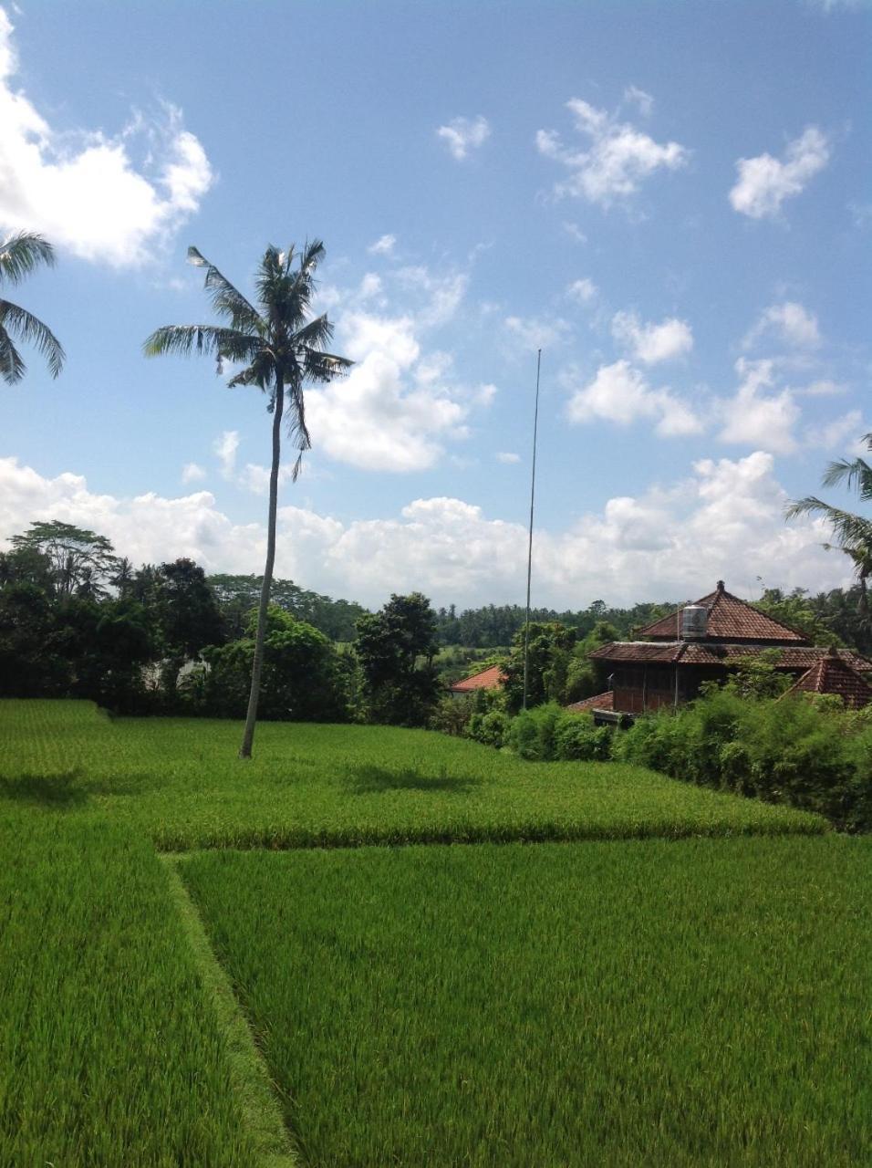 Uma Dhari Villa By Prasi Ubud  Exterior photo