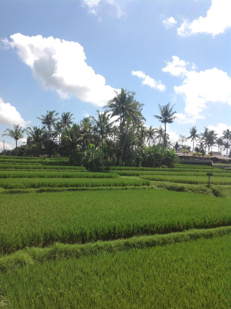 Uma Dhari Villa By Prasi Ubud  Exterior photo