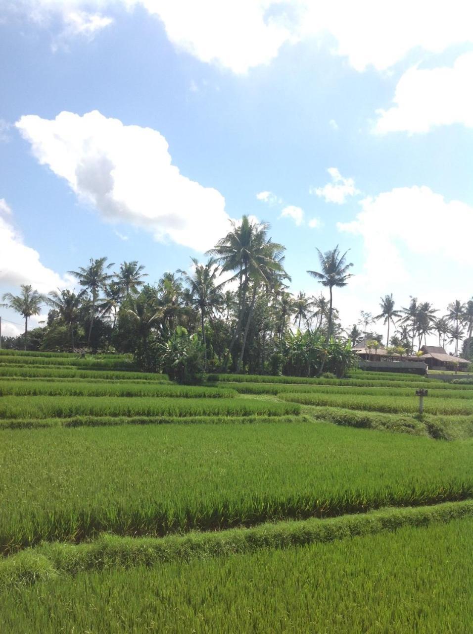 Uma Dhari Villa By Prasi Ubud  Exterior photo